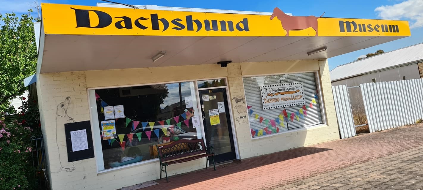nows a dach.jpg