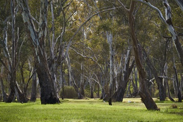 2024_Apsley_Lake-Newlands_68_low-res.jpg