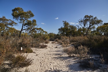 2024_Kaniva_Billyho-Bushwalk_51_low-res.jpg